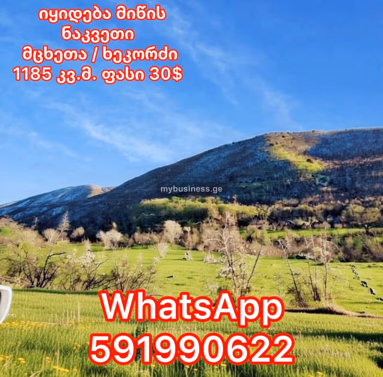იყიდება მიწის ნაკვეთი