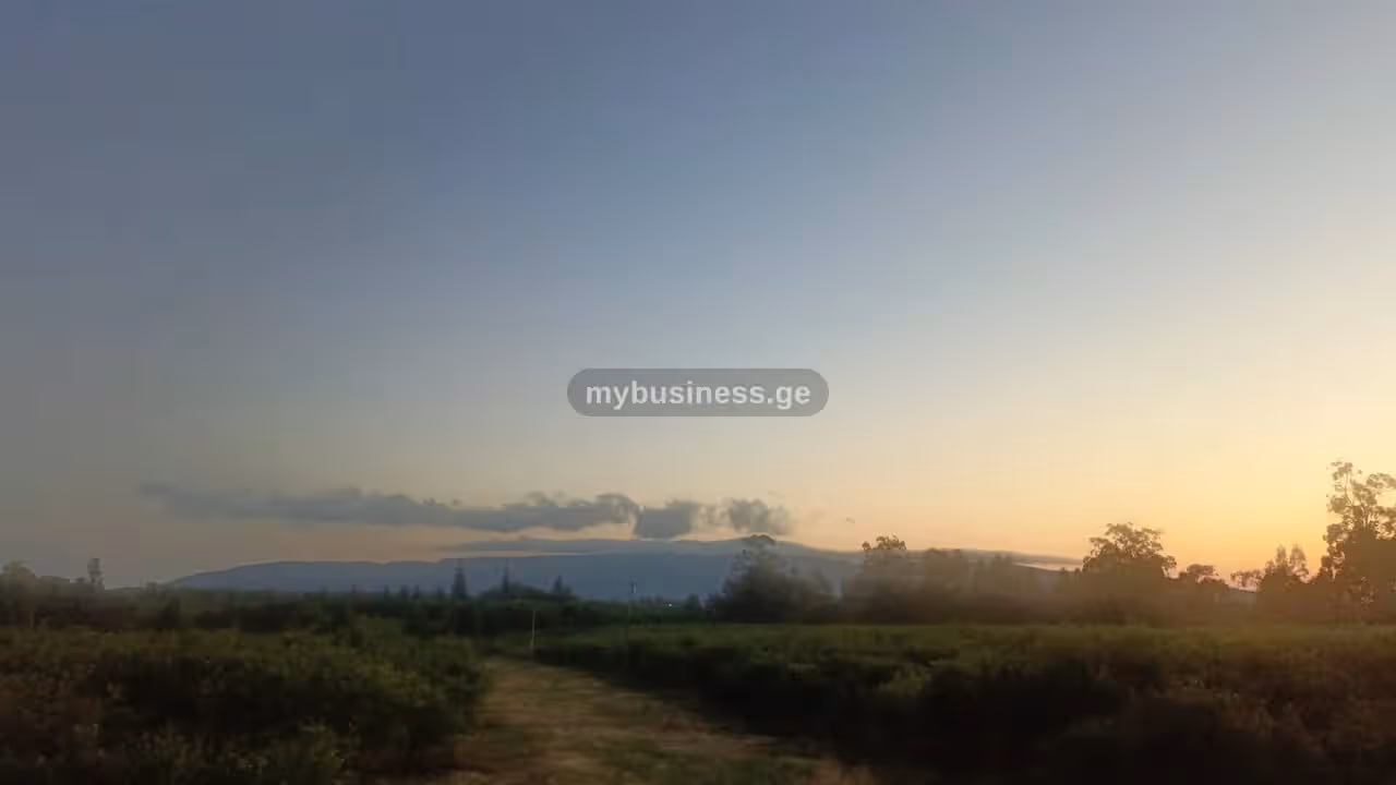 იყიდება შემოსავლიანი ქონება ზუგდიდში (1/10)