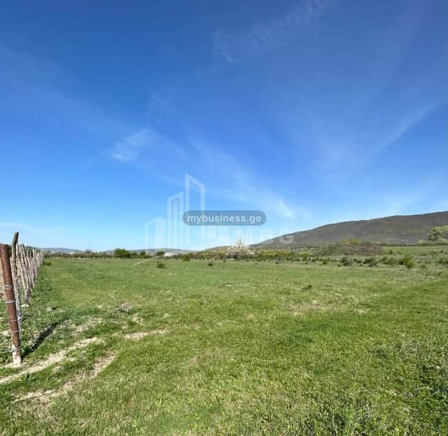 იყიდება მიწის ნაკვეთი (4/10)