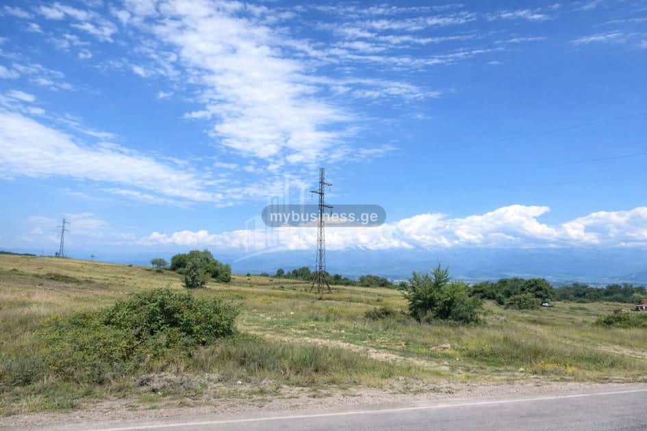 იყიდება მიწის ნაკვეთი თელავში (8/11)
