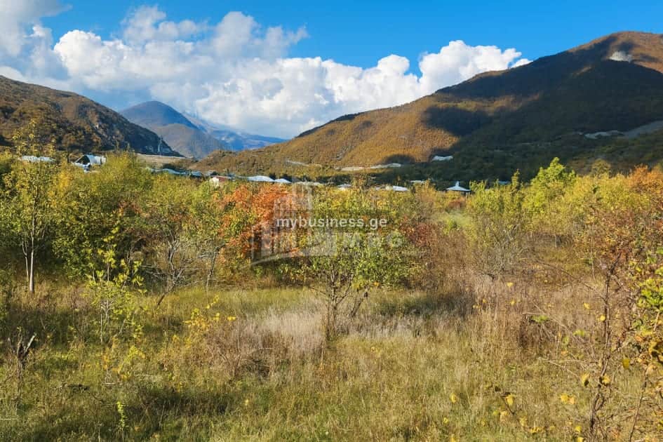 იყიდება მიწის ნაკვეთი დუშეთში (8/8)